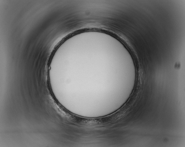 X0000115230791200911201556