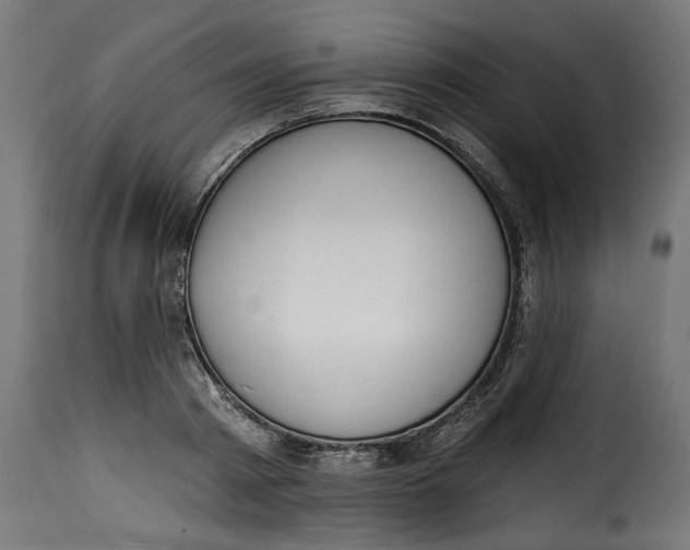 X0000115230793200911201556