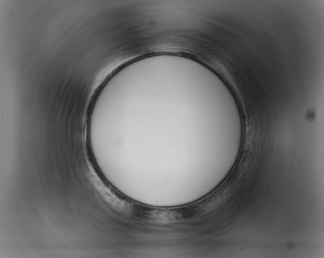 X0000115230795200911201556