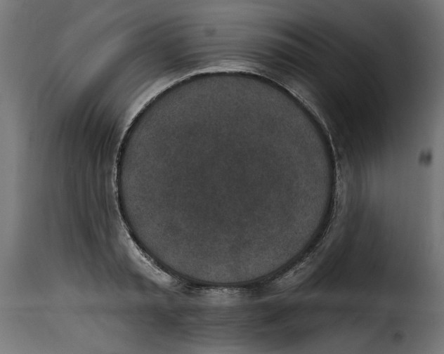 X0000115230797200911201556