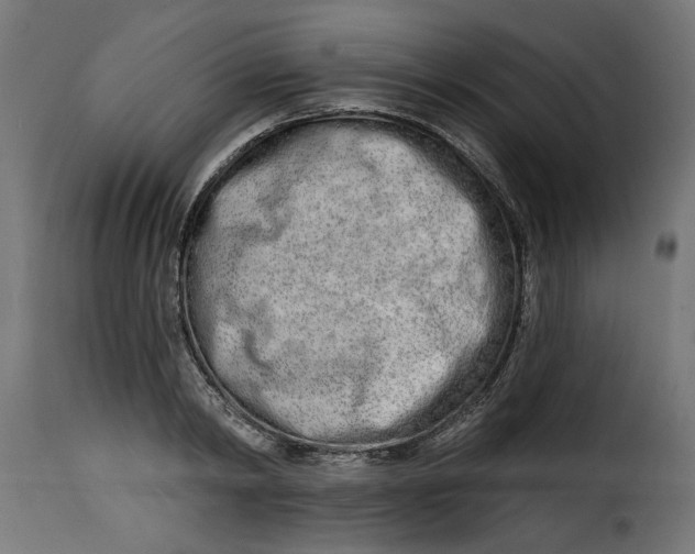 X0000115230798200911201556