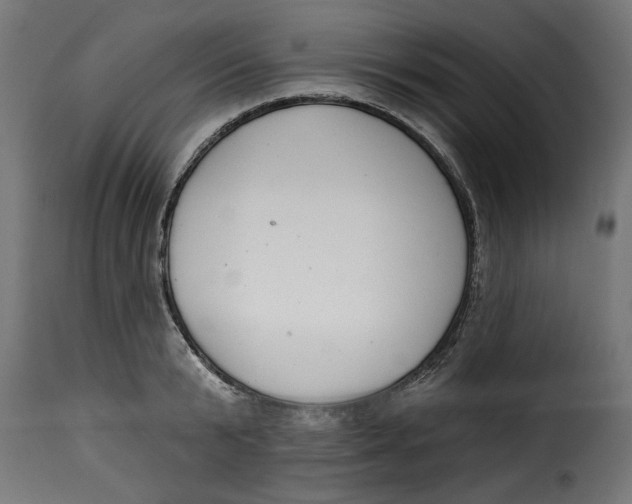 X0000115230799200911201556