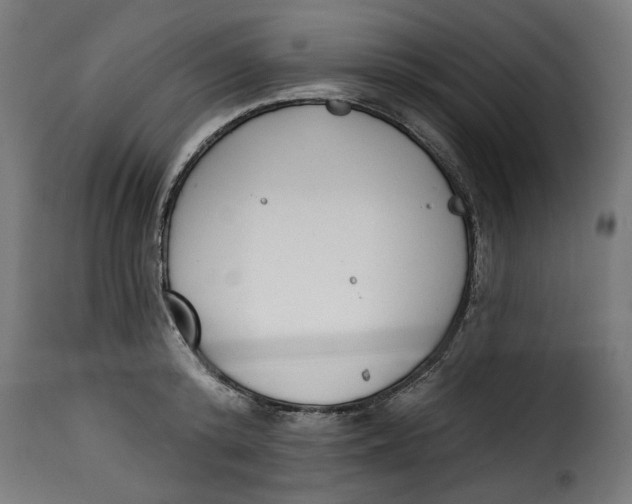 X0000115230800200911201556