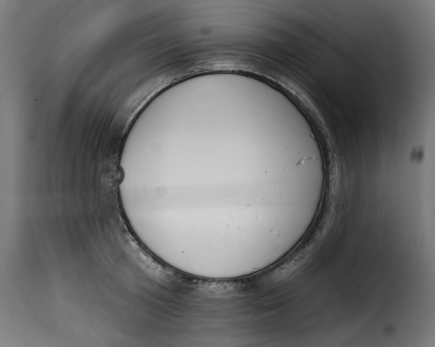 X0000115230801200911201556