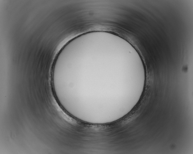 X0000115230803200911201556