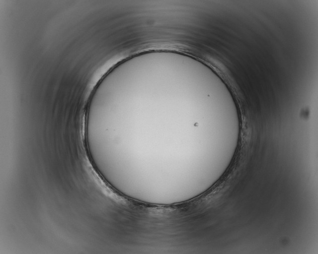 X0000115230804200911201556