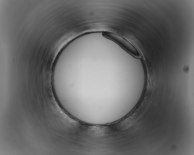 X0000115230805200911201556