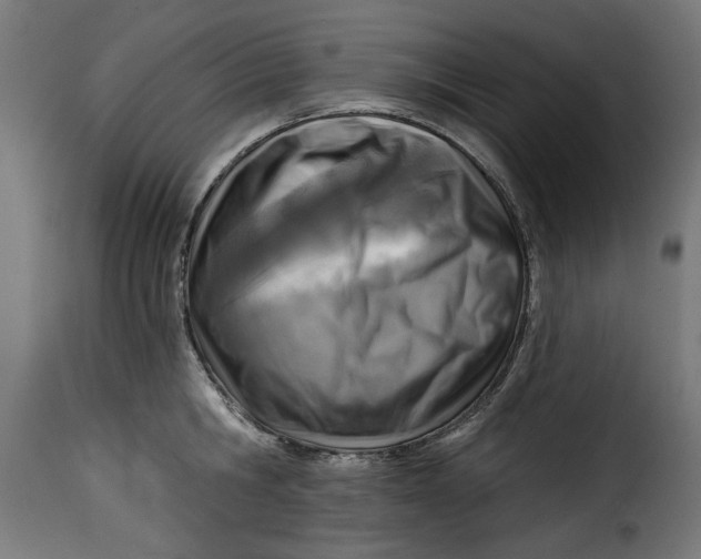 X0000115230806200911201556