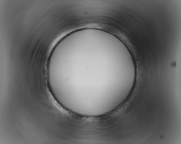 X0000115230808200911201556