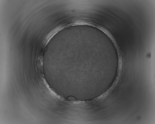 X0000115230809200911201556