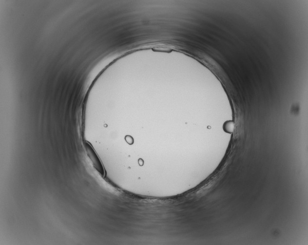 X0000115230812200911201556