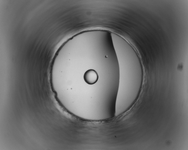 X0000115230813200911201556