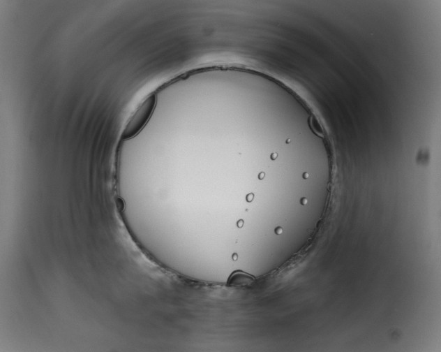 X0000115230815200911201556