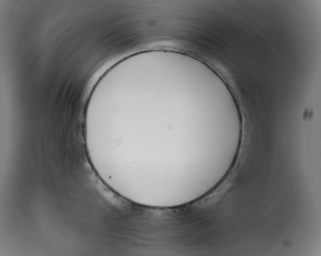 X0000115230816200911201556