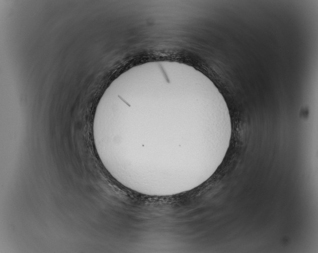 X0000115230817200911201555