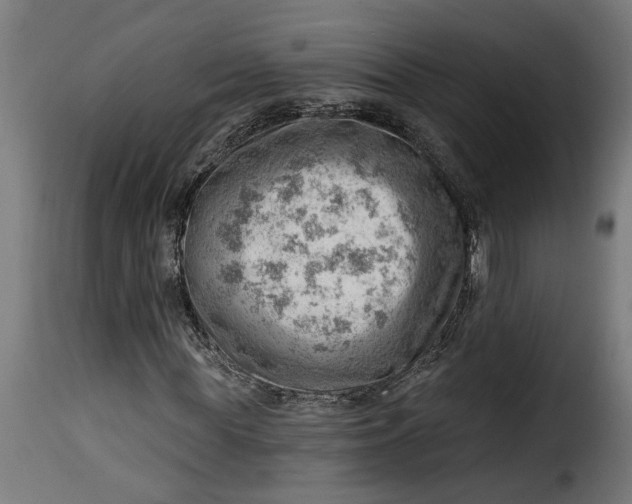 X0000115230819200911201555