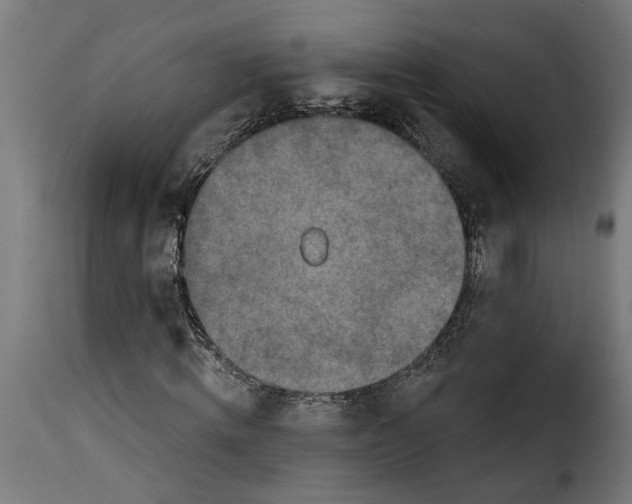 X0000115230820200911201555