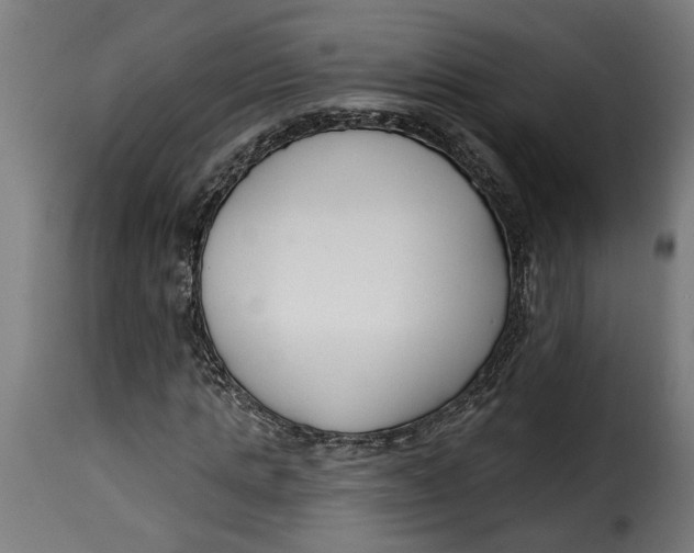 X0000115230821200911201555