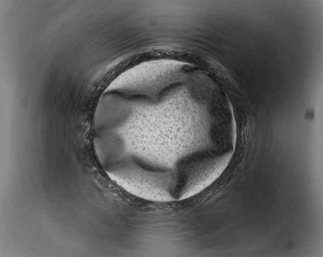 X0000115230822200911201555