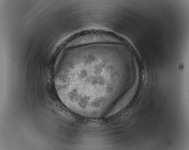 X0000115230823200911201555