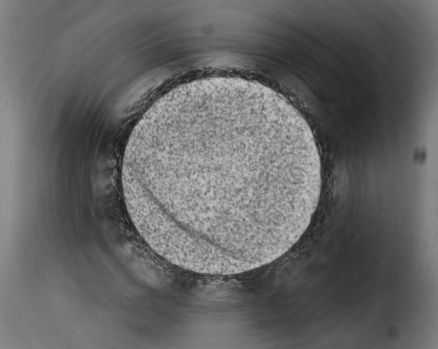 X0000115230824200911201555