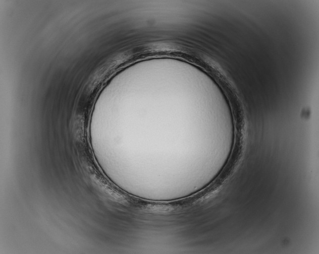 X0000115230825200911201555