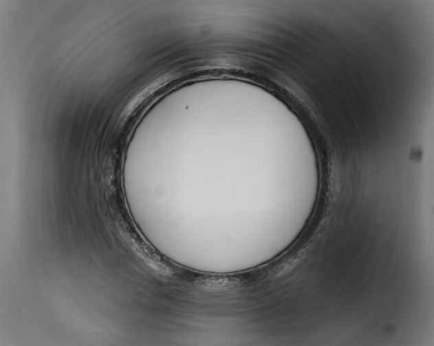 X0000115230826200911201555