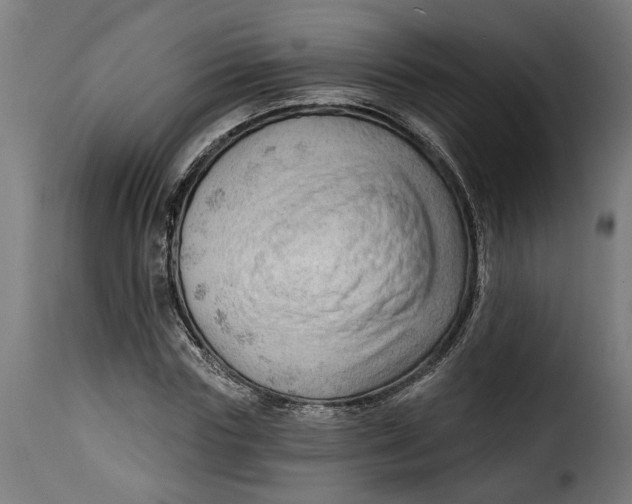 X0000115230827200911201555