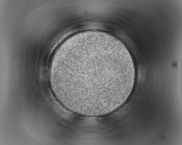 X0000115230828200911201555