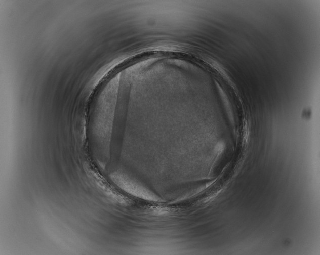 X0000115230829200911201555