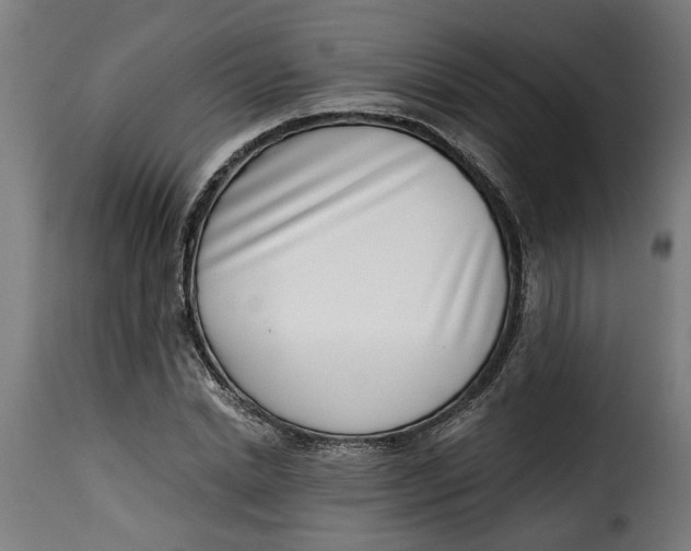 X0000115230830200911201555