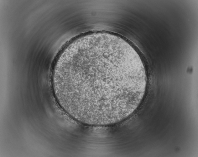 X0000115230832200911201555