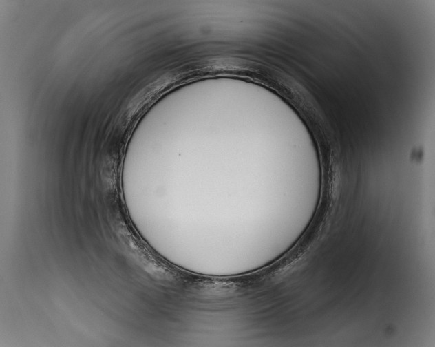 X0000115230833200911201555