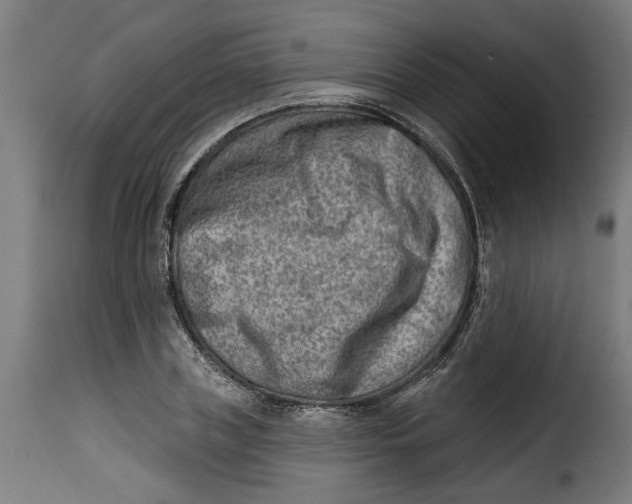 X0000115230835200911201555