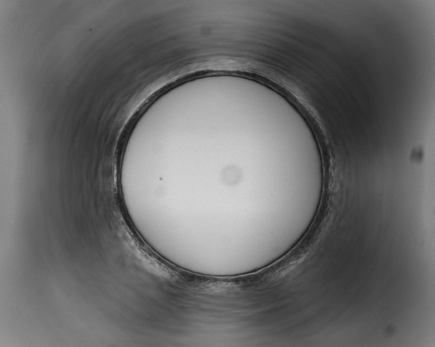 X0000115230837200911201555