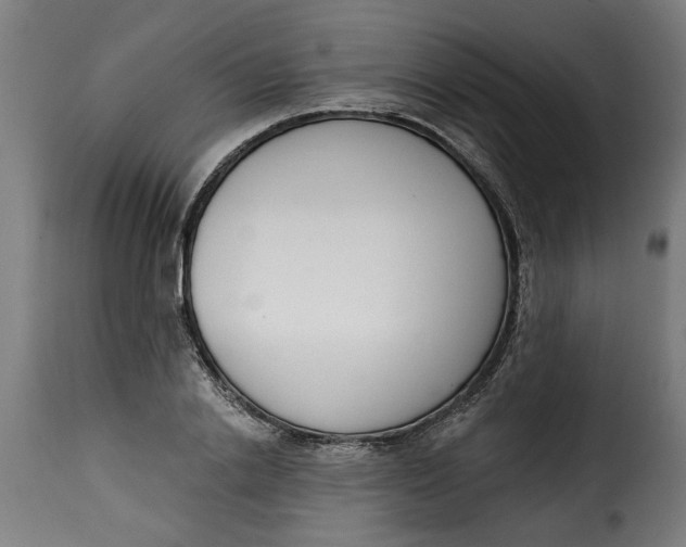 X0000115230838200911201555