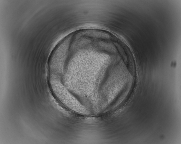 X0000115230839200911201555