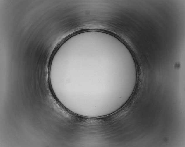 X0000115230840200911201555