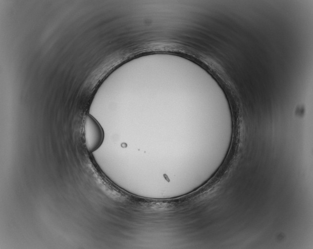 X0000115230841200911201555