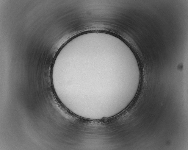 X0000115230842200911201555