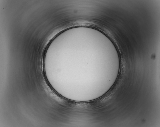 X0000115230843200911201555