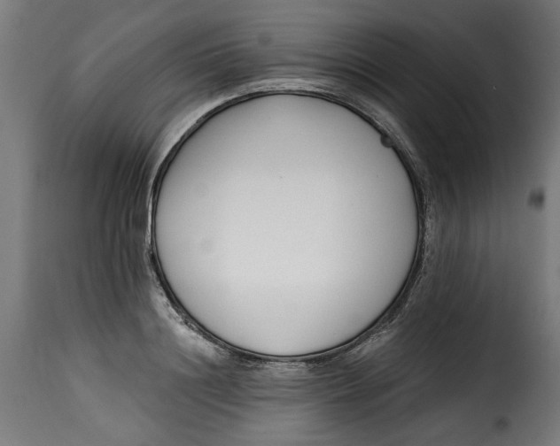 X0000115230844200911201555