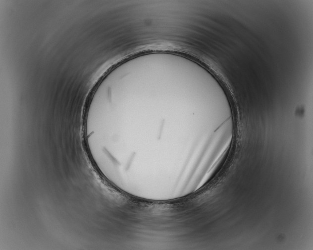 X0000115230845200911201555