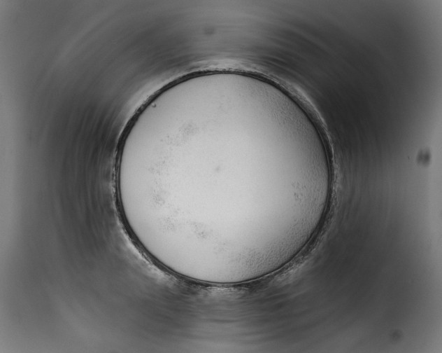 X0000115230847200911201555