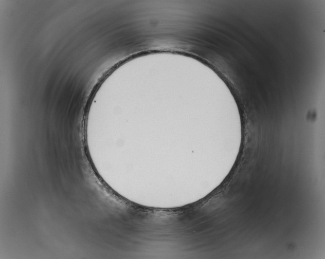 X0000115230848200911201556