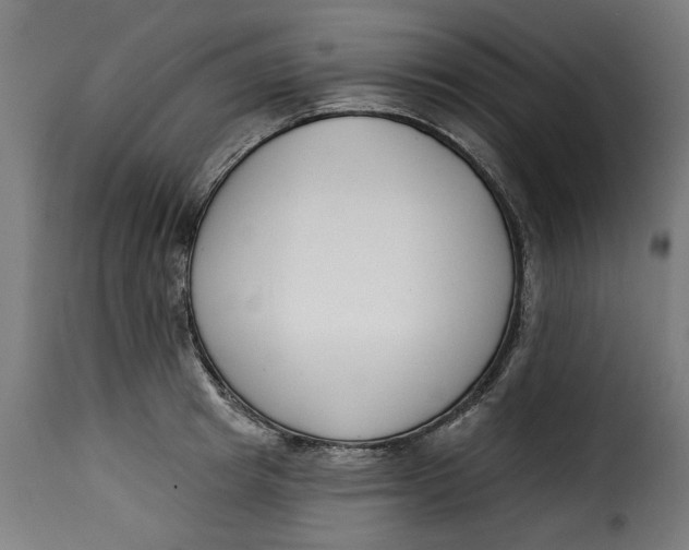 X0000115230849200911201556