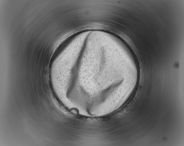 X0000115230850200911201556