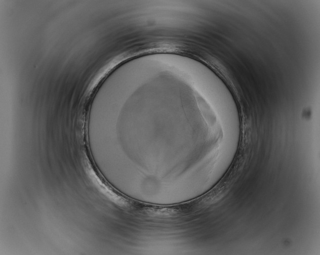 X0000115230851200911201556