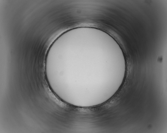 X0000115230852200911201556