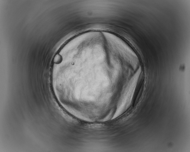 X0000115230853200911201556